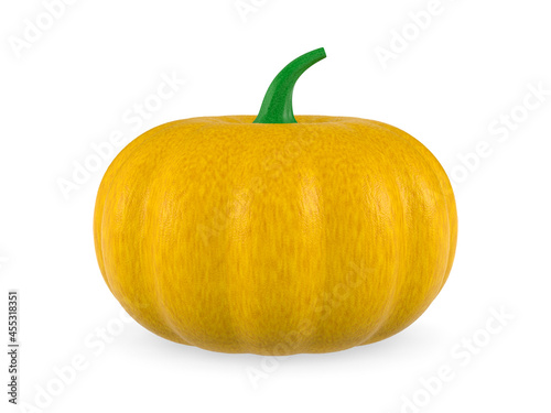 pumpkin on white background...