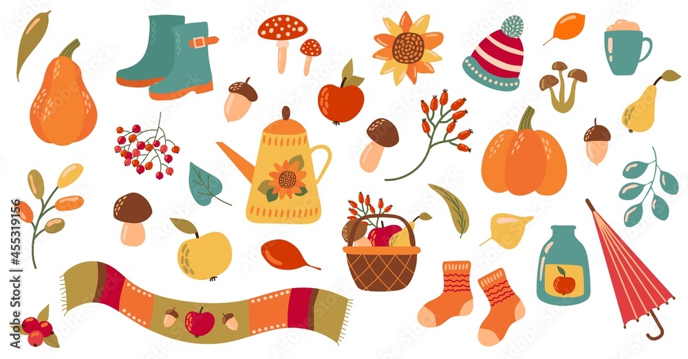 Autumn set with cute elements of . Hand drawn flat cartoon elements. Vector illustration