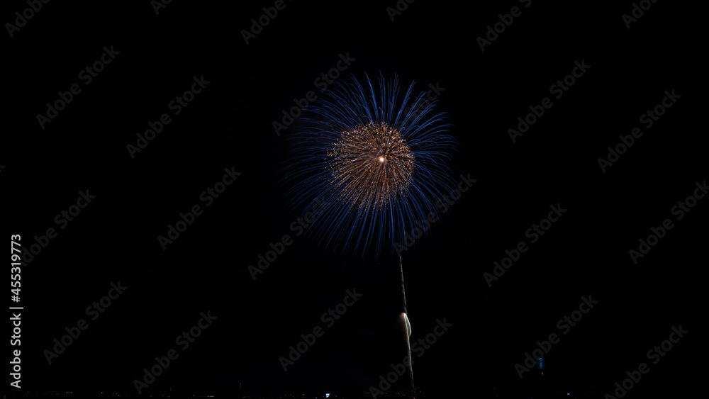 fireworks in the night sky