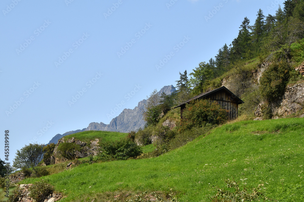 Tiroler Almlandschaft