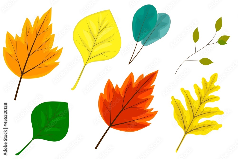  Autumn leaves. Colorful set of botany elements. Isolated leaf for design. Template for the decor of postcards. Vector image.