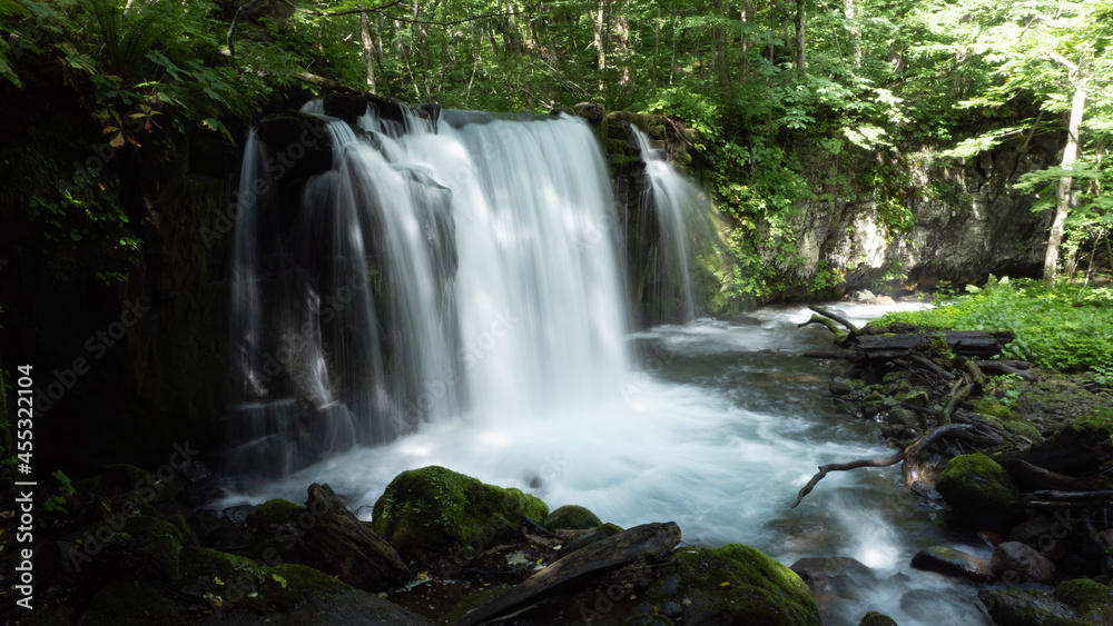 Obraz premium waterfall in the forest