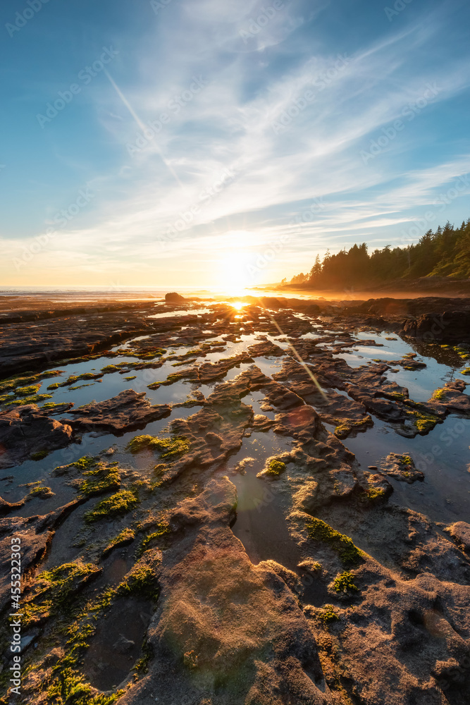 Botanical Beach on the West Coast of Pacific Ocean. Summer Sunny Sunset. Canadian Nature Landscape Background. Located in Port Renfrew near Victoria, Vancouver Island, BC, Canada.
