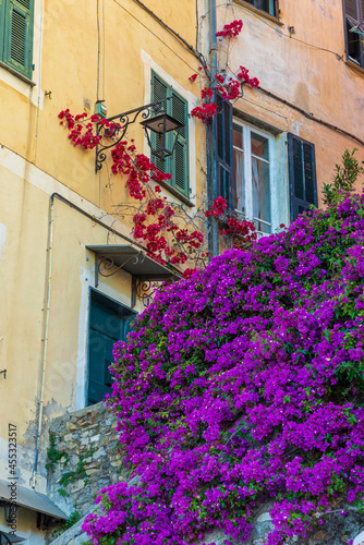 Cervo. Middle age village. Alleys of the historic center. Imperia. Liguria. Italy.