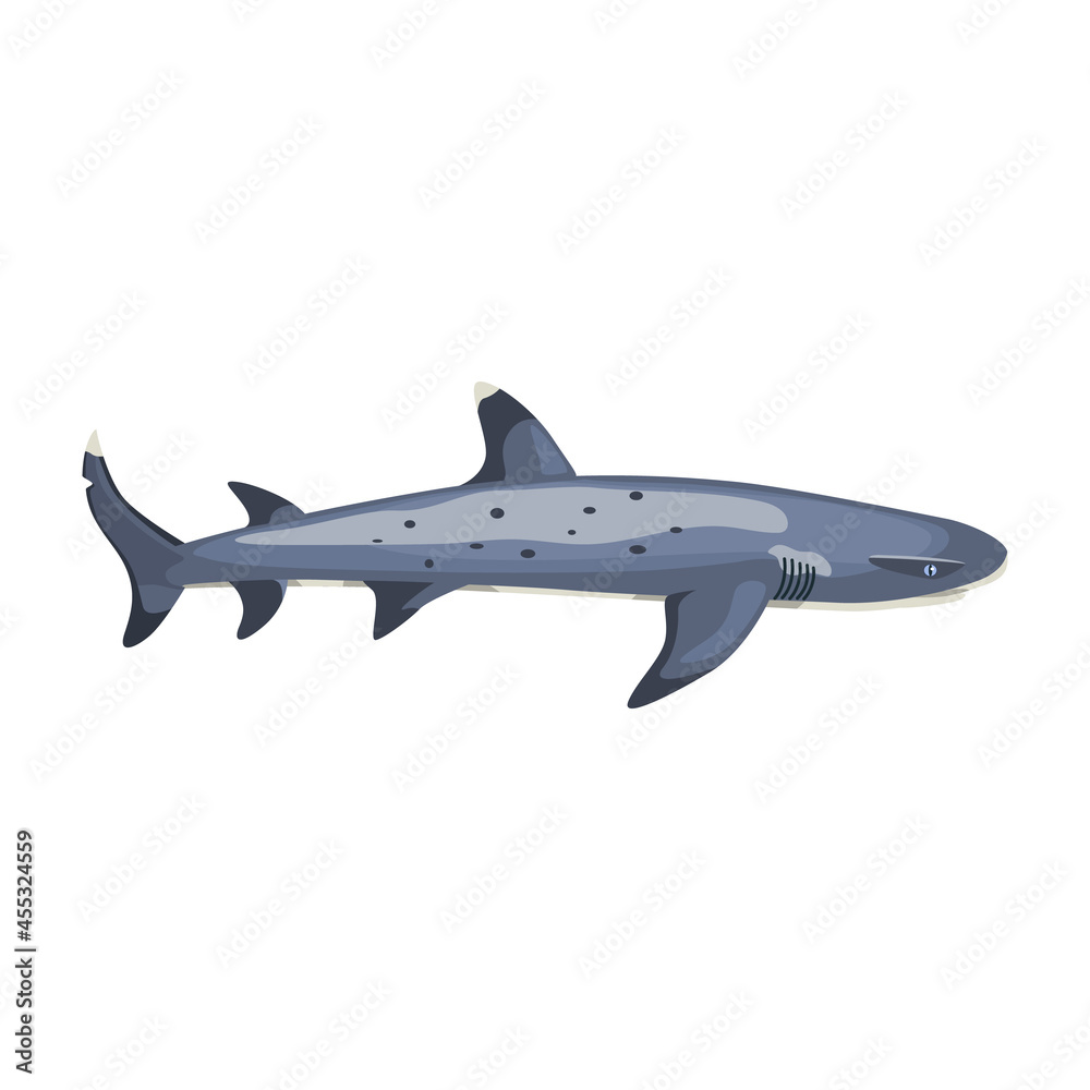 Naklejka premium Reef shark isolated on white background. Cartoon character of ocean for children.