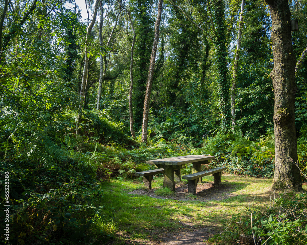 Picnic spot at Shakerley mere