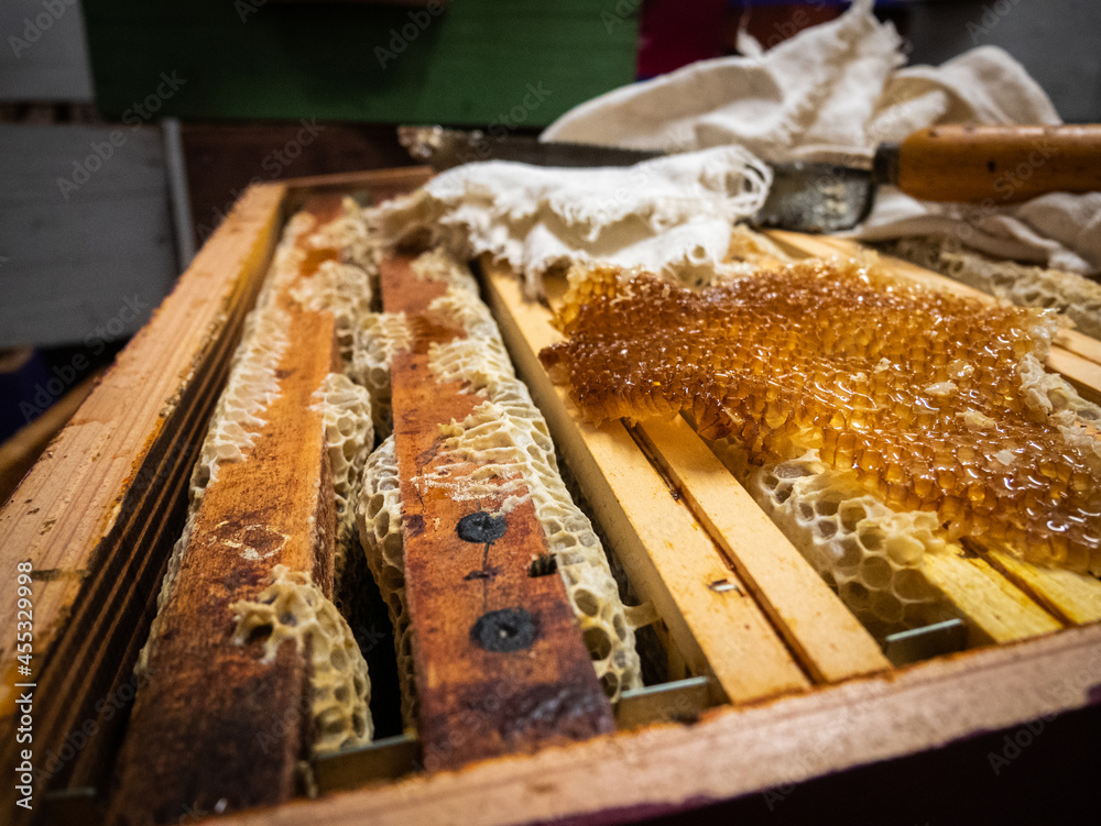 a close look at the beehive a close look at the beehive