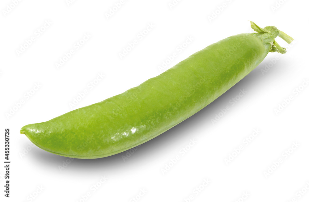Vaina cerrada de guisante cruda sobre fondo blanco. Closed pod of raw pea on white background. Vaina cerrada de guisante cruda sobre fondo blanco. Closed pod of raw pea on white background.