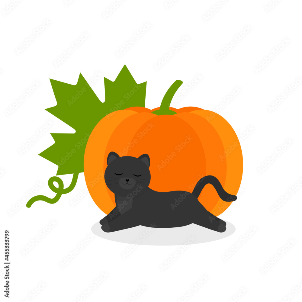 Naklejka premium This is a vector illustration. Cat on pumpkin isolated on a white background.