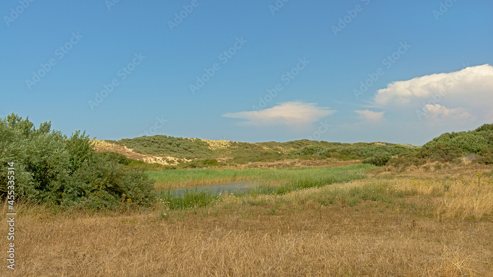 Dunes with shrubs and a pool of water along the Opal North sea coast in France, on a sunny day