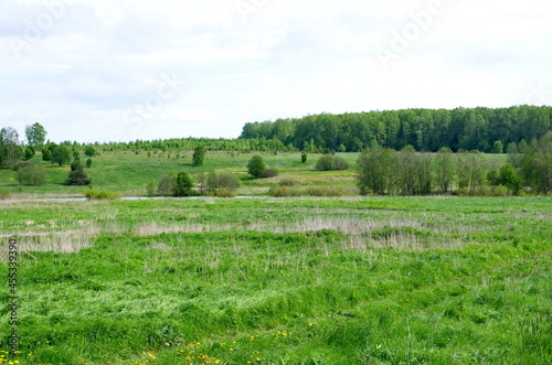 View of a field with a river and a forest