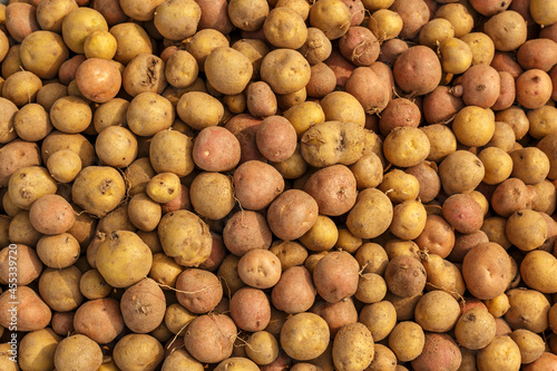 Close-up of fresh raw potatoes. Background and texture.