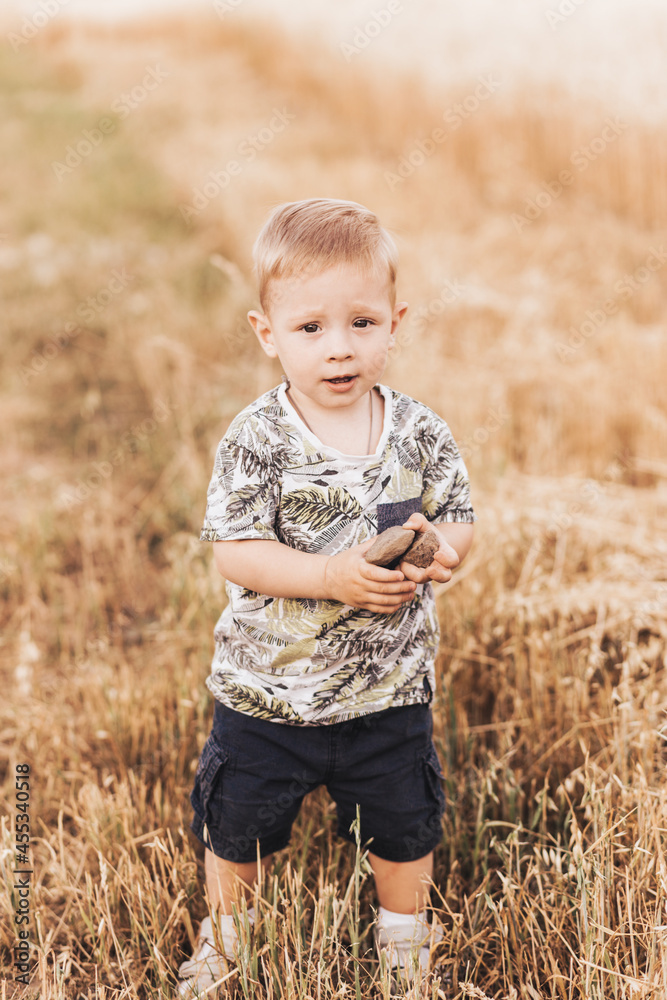 Little boy walking through the field in the summer. Childhood. Summertime. Summer vacation Little boy walking through the field in the summer. Childhood. Summertime. Summer vacation
