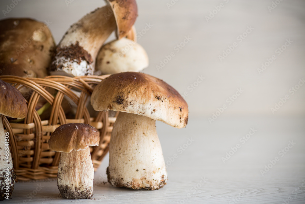 heap of fresh harvested forest mushrooms in basket heap of fresh harvested forest mushrooms in basket