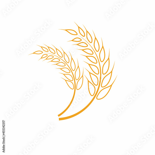 Agriculture wheat vector icon design