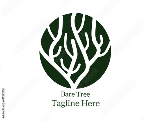 Fototapeta Naklejka Na Ścianę i Meble -  Bare tree logo for brand name.