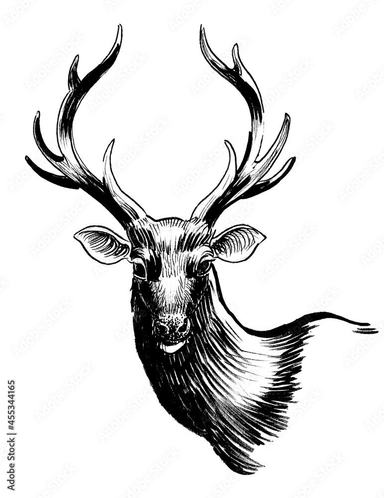 Wild stag deer head. Ink black and white drawing Stock Illustration ...