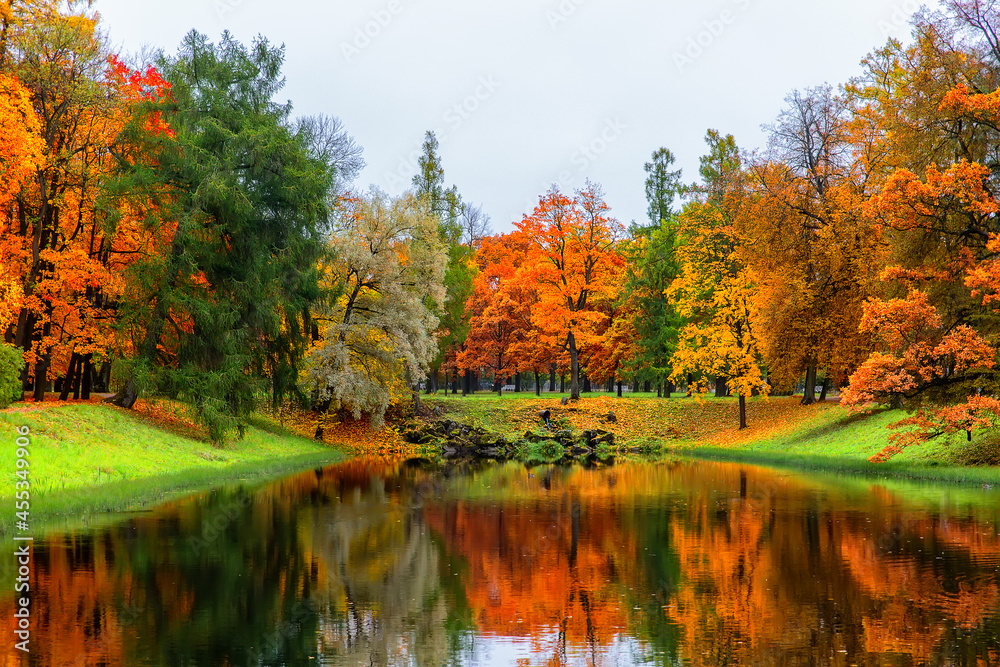 Obraz premium Autumn landscape, beautiful city park with fallen yellow leaves.