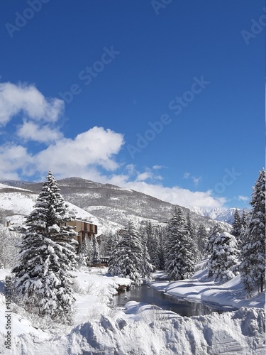 snow covered mountains and trees in vail, christmas season 