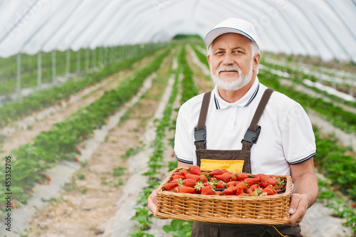 Front view of adult man in exclusive chocolate-brown uniform keeping wicker basket with ripe strawberry. Concept of gather strawberry in contemporary hothouse.