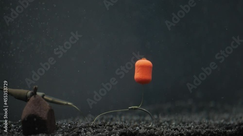 Underwater pop up boili rig for carp fishng photo