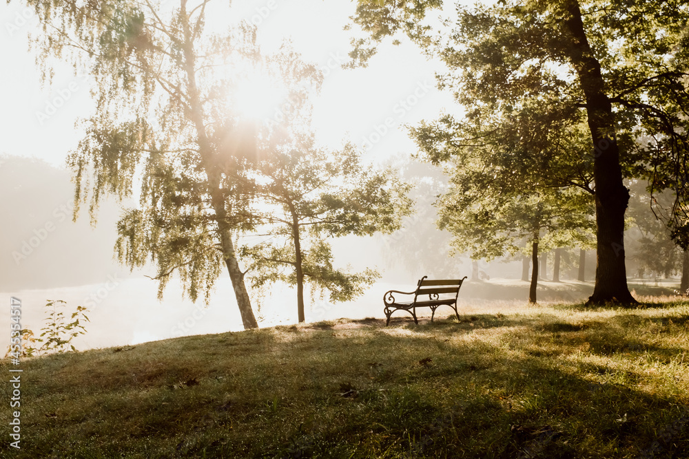 ławka w parku, wschód słońca, promienie słoneczne