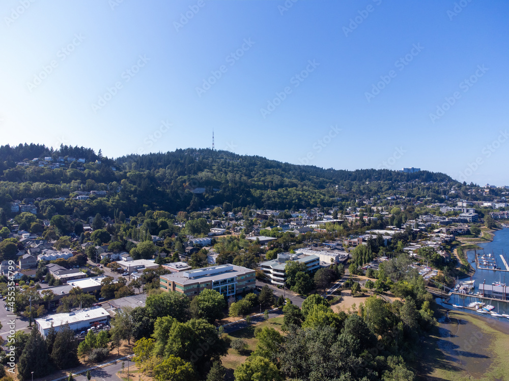 Small town among a lot of greenery. Many trees. In the distance you can see a large hill covered with greenery. Beauty of nature. Calm scenes. Blue cloudless sky. Aerial photograph.