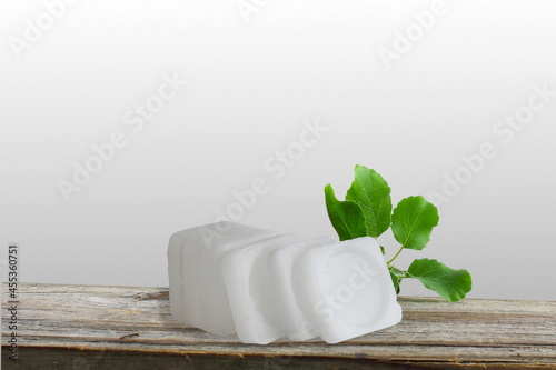 camphor or cinnamomum camphora in blur black background 