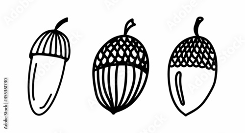 Vector acorn, oak fruit isolated on white background icon. Illustration for seasonal design, textile, decoration kids playroom or greeting card, autumn and halloween. Hand drawn prints and doodle.