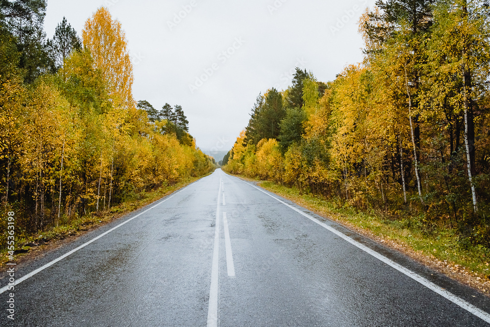 Autumn the road goes into the distance. An empty road passes through the forest. Asphalt in the mountains against the background of the autumn forest.