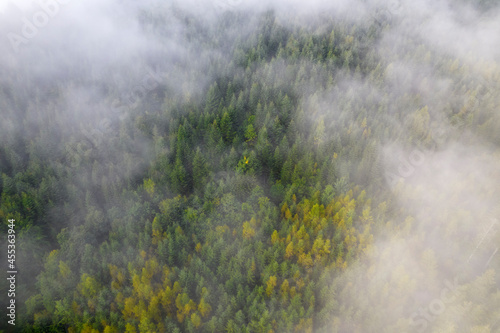 Top down aerial view of mountains covered fog. Еreetops are covered with fog.