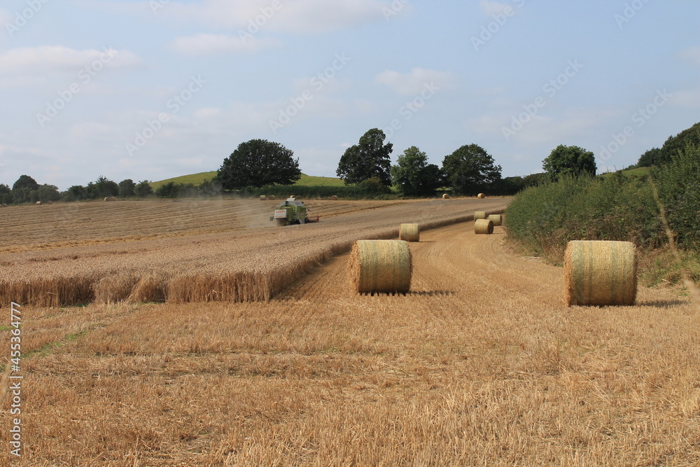 Combine harvester in a field on a hot summer's day in July in a field in West Yorkshire UK