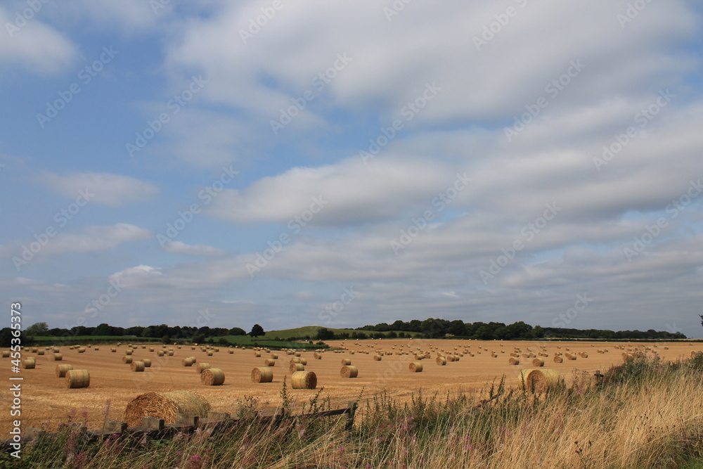 Round hay bales in a field on a hot summers afternoon near Wakefield West Yorkshire In the UK