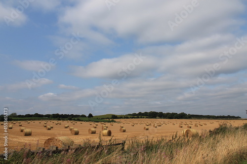 Round hay bales in a field on a hot summers afternoon near Wakefield West Yorkshire In the UK