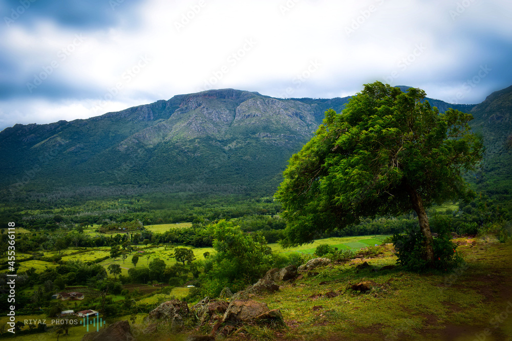 Fototapeta premium Landscape from Masinagudi, India