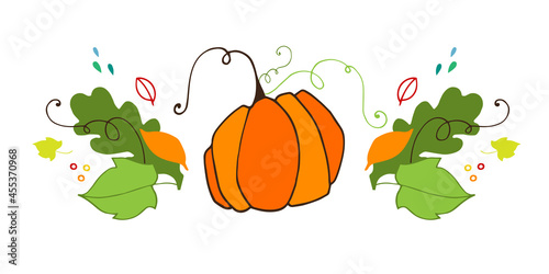 Vector set of pumpkin, leaves and curls. Isolated on white background. Illustration for restaurant menu, cosmetics, health care products, wrapping paper, post cards, advertising, packaging.