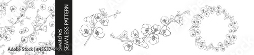 Set of different branches of cherry flowers, pattern and circle frame on white background.