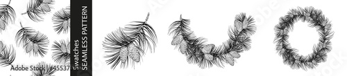 Set of different branches of fir, seamless pattern and circle frame on white background.