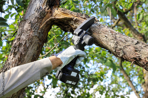 Hand holds light chain saw with battery to trim broken branch of an apple tree