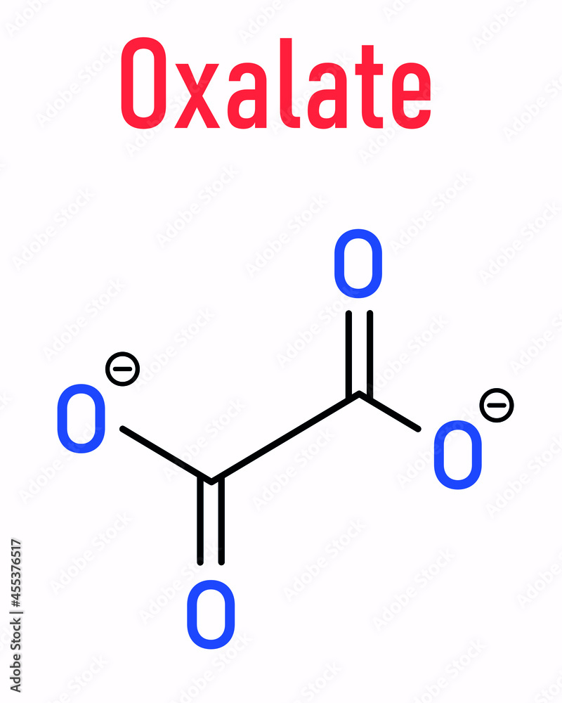 Oxalate anion, chemical structure. Oxalate salts can form kidney stones. Skeletal formula. Oxalate anion, chemical structure. Oxalate salts can form kidney stones. Skeletal formula.