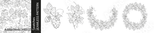 Set of different branches of hops, seamless pattern and circle frame on white background.