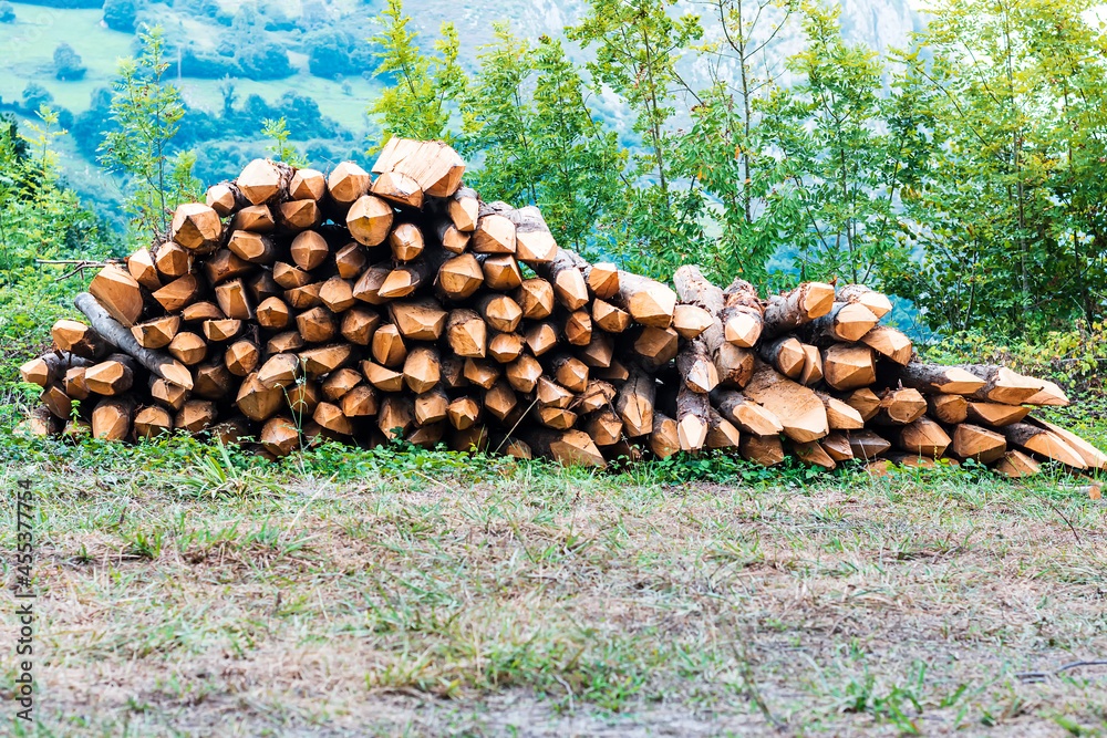 Landscape of a pile of cut and sharpened wooden logs for use in farm or land fences.The photo is in horizontal format.