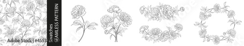 Set of different branches of peony, pattern and circle frame on white background.