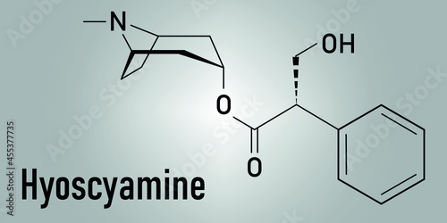 Hyoscyamine alkaloid molecule. Herbal sources include henbane, mandrake, jimsonweed, deadly nightshade and tomato. Skeletal formula.
