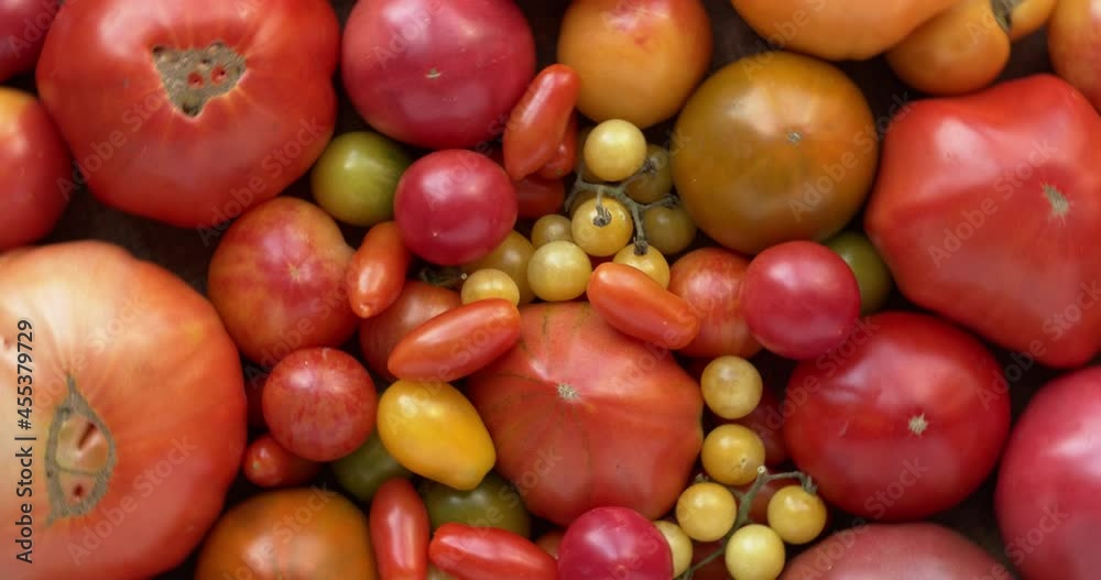 Assortment of tomatoes in background pattern. Top view. Tomatoes of different shapes, colors, cultivar. Assortment of tomatoes in background pattern. Top view. Tomatoes of different shapes, colors, cultivar.