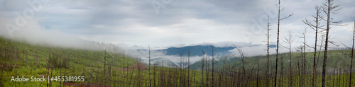 East Siberian Taiga Pano