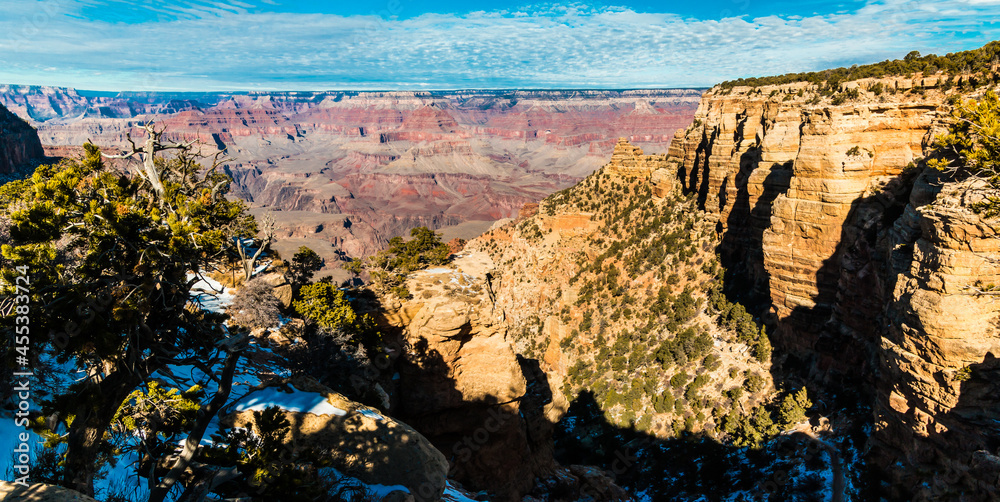 Pinyon Pine Trees and Snow Covered Limestone Cliffs on The South Rim, Grand Canyon National Park, Arizona, USA