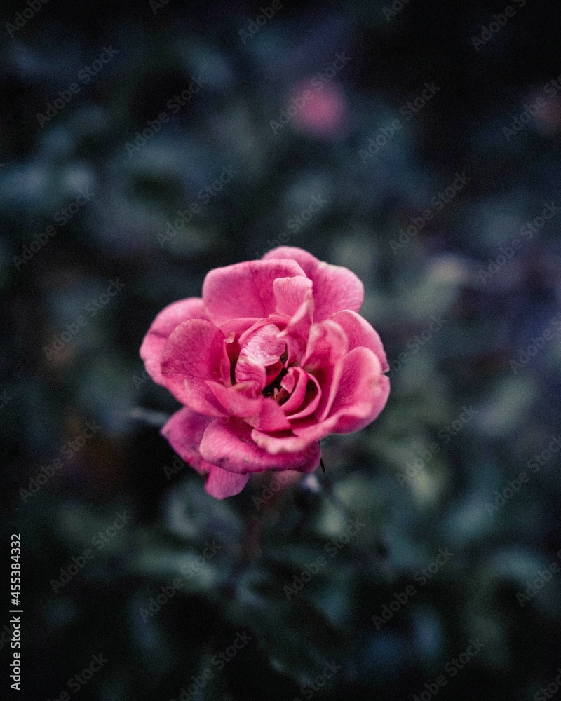 nature colour nature colour