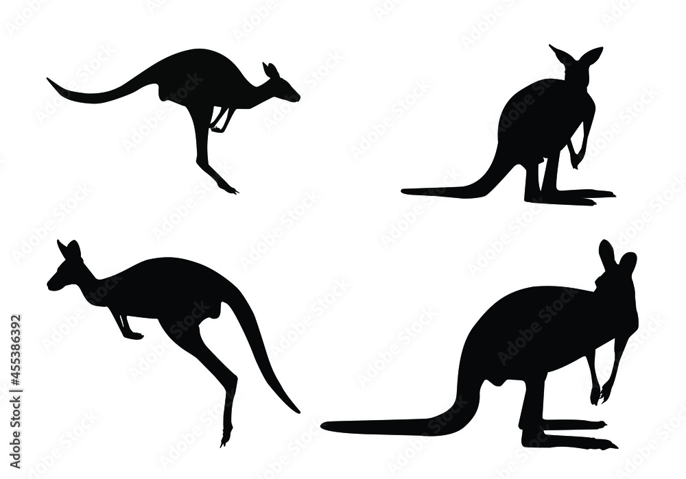 Kangaroos black silhouettes  on white background vector shapes Australia.