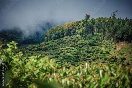 Cerro de la Muerte